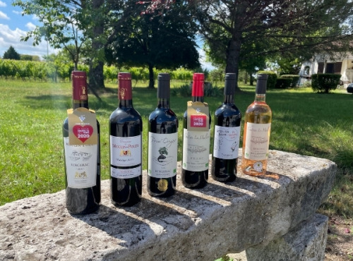 Vignobles Fabien Castaing - Lot AOC Bergerac : Rouge et Rosé