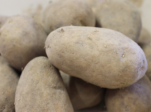 Le Châtaignier - Pommes De terre Charlotte - 14kg