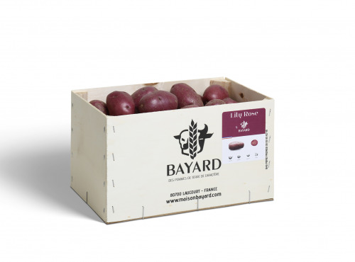 Maison Bayard - Pommes De Terre Lily Rose - 5kg