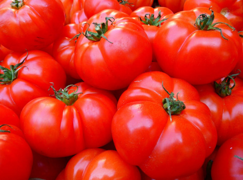 Le Châtaignier - Tomates coeur de boeuf - 900g