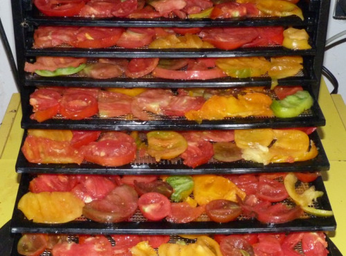 Ferme des petites Brossardières - Tomates séchées - de notre production - 50 g