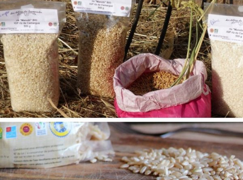 Les Délices du Scamandre - Riz Bio "Manobi" IGP Riz de Camargue : Semi-complet 10kg et Complet 10kg