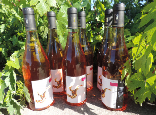 Domaine des Bourrats - Saint Pourçain AOC Rosé - 6 bouteilles