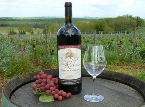 Château des Rochers - Magnum de vin rouge AOC 2005