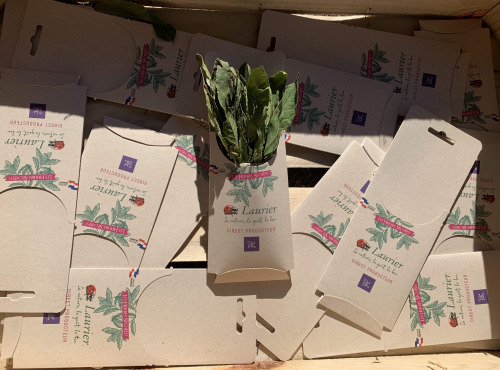 Les Herbes du Roussillon - Bouquet De Laurier Séché