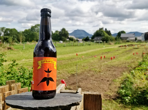 Safran des Volcans - Safran'Ale 33cl - Bière au safran Bio