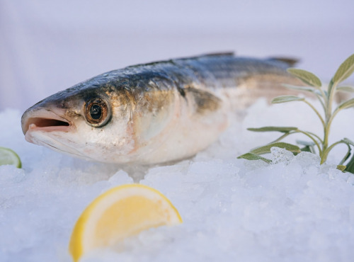 Côté Fish - Mon poisson direct pêcheurs - Muges 500g