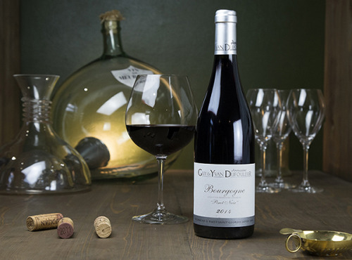 Dyvin : domaine Guy et Yvan Dufouleur - Domaine Guy & Yvan Dufouleur - Bourgogne Pinot Noir - Lot De 6 Bouteilles