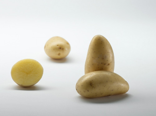Maison Bayard - Pommes De Terre Annabelle - 5kg