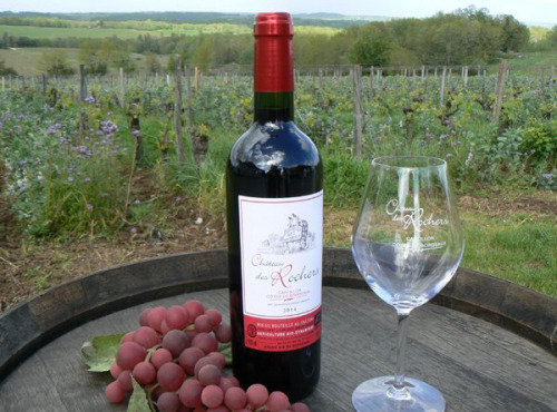 Château des Rochers - Vin rouge AOC Castillon-côte de Bordeaux 2018