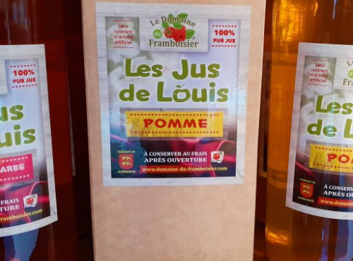Le Domaine du Framboisier - Les Jus de Louis Pomme 100% Pur Jus 3L