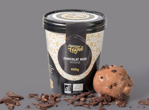 Mademoiselle Fayel - Crème Glacée Chocolat Noir Intense  - 100% Bio x4