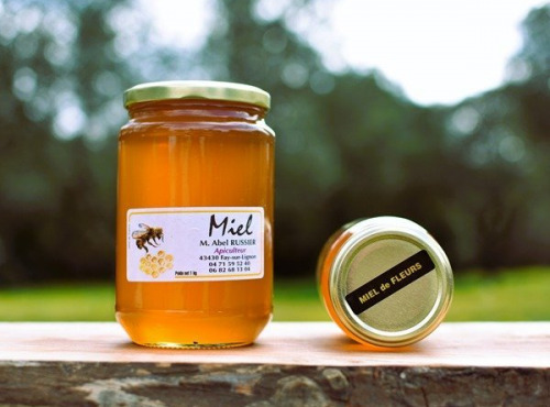 La Truite du Mézenc - Lot de miels de Tilleul, de fleurs, cremeux de fleurs, chataignier et printemps - 5kg