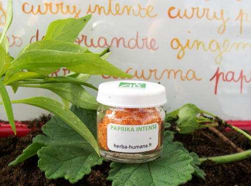 HERBA HUMANA - Paprika Intense Bio Cultivé en France 5 g