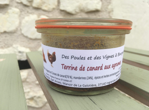 Des Poules et des Vignes à Bourgueil - Terrine De Canard Aux Agrumes