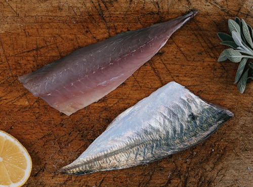 Côté Fish - Mon poisson direct pêcheurs - Filets De Gascon 300g
