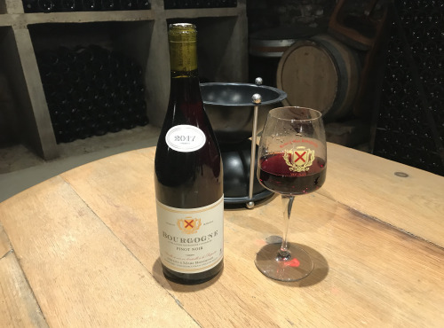 Domaine Michel & Marc ROSSIGNOL - Bourgogne "Pinot Noir" 2017 - 12 Bouteilles