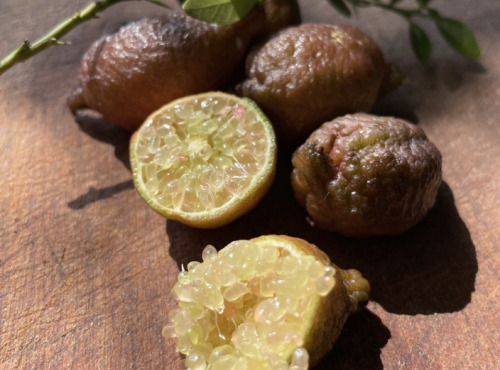 La Maison du Citron - Citron Caviar Microcitrus australasica - 100gr
