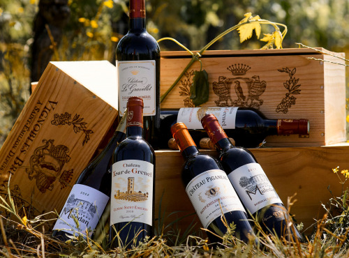 Vignobles Brunot - Lot Découverte : Vins blanc, rosé et rouges de Bordeaux, dont Saint-Emilion Grand Cru - 6x75cl