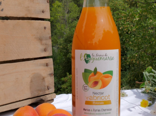 La Ferme de l'Ayguemarse - Nectar d'abricot 1L (variété "Polonais" ou Orangé de Provence)