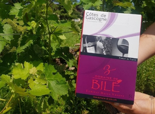 Domaine de Bilé - Fontaine à Vin BIB Rosé - Vin IGP Côtes de Gascogne - 5 Litres