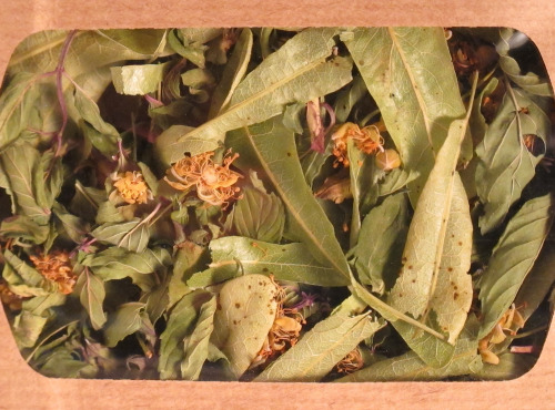 Les Jardins du Mas de Greil - Tilleul-menthe, Tisane Composée
