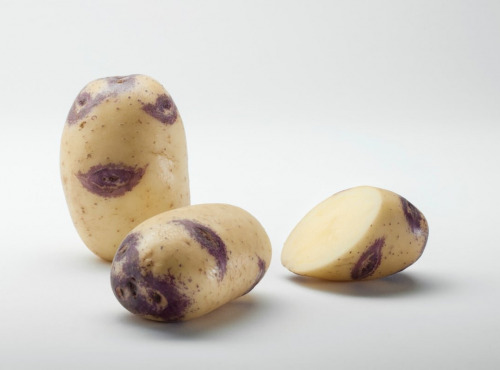 Maison Bayard - Pommes de terre Blue Belle - 12.5kg