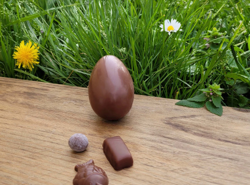 Basile et Téa - Œuf en chocolat au Lait 39% de Pâques 50g