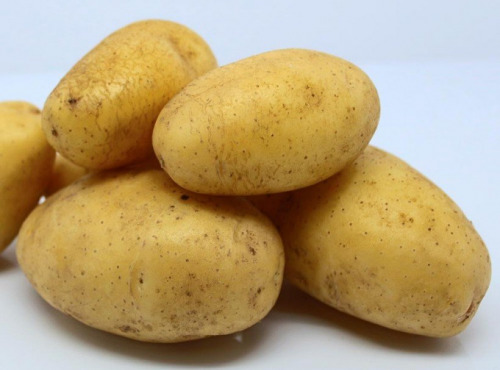 La désirée d'Ide - Pomme de terre "Ditta" Bio 25kg