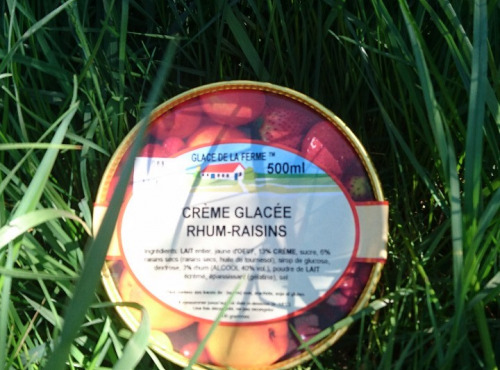 Les Glaces de la Promesse - Glace Rhum-raisins