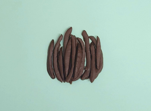 Basile et Téa - Citronette Chocolat Noir 72% 300g