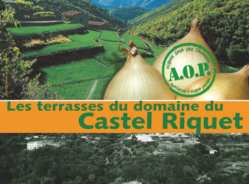 Le Castel Riquet - Oignon doux des Cévennes AOP - Oignon Doux Des Cévennes AOP - 3,5kg