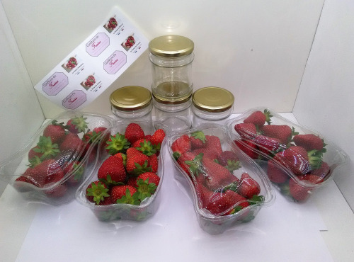 Maison du Pruneau - Cueillette du Gascon - Coffret DIY - Confiture de Fraises (fruits + pots et étiquettes en cadeau)