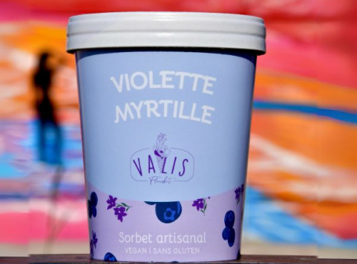 Valis Fleurbet - Sorbet Myrtille Violette 480ml