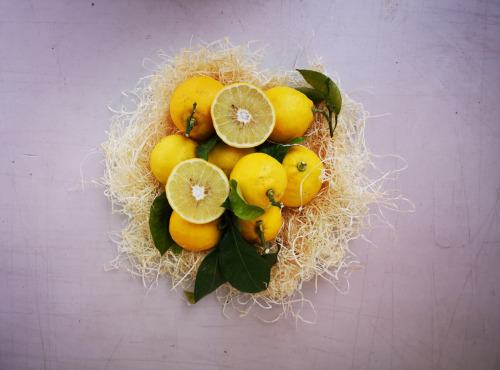 La Maison du Citron - Bergamote Bio