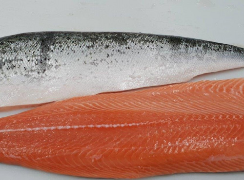 Opale Vivier - Filets de saumon désarêtés  - 2 Filets - 3KG