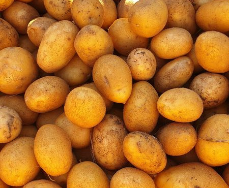 La Ferme de Milly - Anjou - Pommes de terre- chair ferme - 1kg