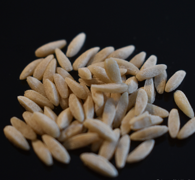 Adal Terra - Pâtes Artisanales Bio Grain De Pâtes Blé Ancien Semi-Complet Thaï 1 Kilo