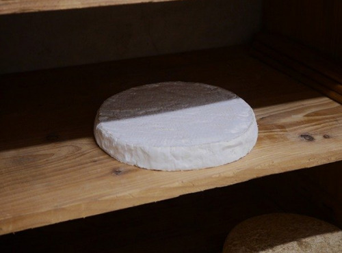 Alléosse Maitre Artisan Affineur Fromager - Brie de Meaux AOP