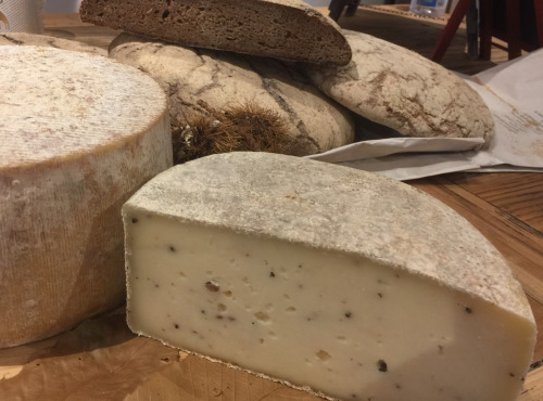 Depuis des Lustres - Comptoir Corse - Tomme Brebis Corse à la Truffe - fromage d'exception