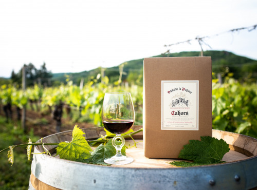 Domaine la Paganie - Vin Rouge en BIB (Bag In Box) 10 litres - AOC Cahors