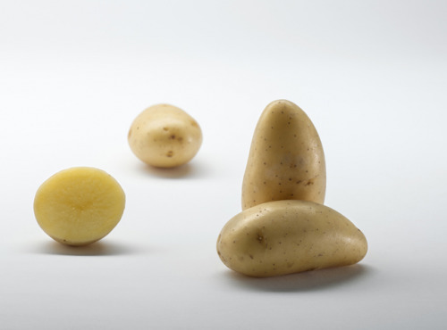 Maison Bayard - Pommes De Terre Allians - 5kg