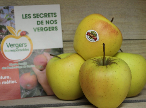 Le Châtaignier - Pommes Golden - Colis 15 Kg