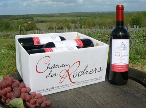Château des Rochers - Vin rouge AOC Castillon-Côtes de Bordeaux 2016 x6