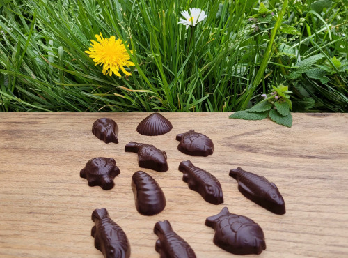 Basile et Téa - Friture en chocolat Noir 66% de Pâques 150g
