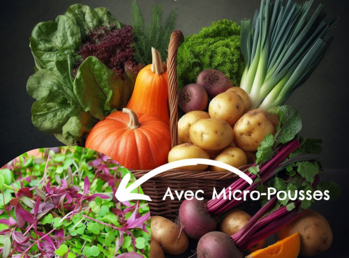 Les Jardins de Champlecy - Panier De Légumes De Saison + 1 Barquette De Micro-pousses