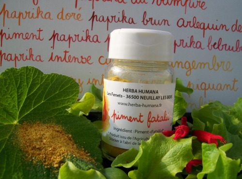 HERBA HUMANA - Piment Fatalii Bio Cultivé en France 15 g