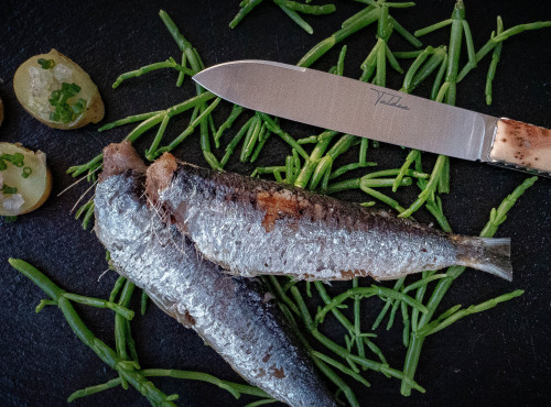 Kusiak - Sardines à l'huile d'olive bio et au piment d'Espelette - 10x240g