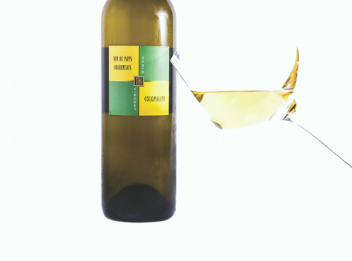 Vignobles du Sourdour - Vin Blanc 100% Colombard - 6 Bouteilles