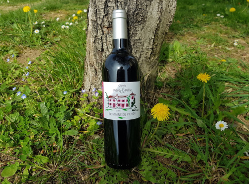 Domaine de Pilhoy - Vin Rouge AOC Bordeaux Cuvée père & fille 2016